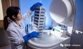 從自體細胞到抗癌戰士 干細胞與免疫細胞儲存及生物轉化醫學的革新路徑