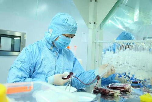 生孩子前，這件事至關重要 干細胞和免疫細胞儲存及生物轉化醫學