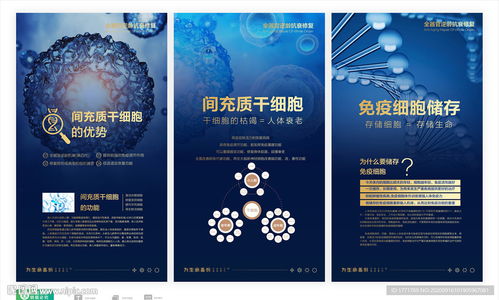 干細胞與免疫細胞儲存及生物轉化醫學 開啟健康新紀元