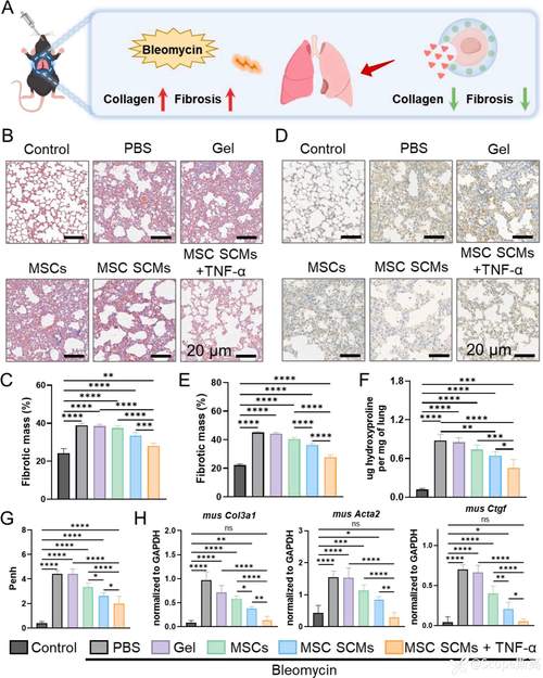 生物酶法單細胞微囊化技術在干細胞與免疫細胞儲存及生物轉化醫學服務中的應用